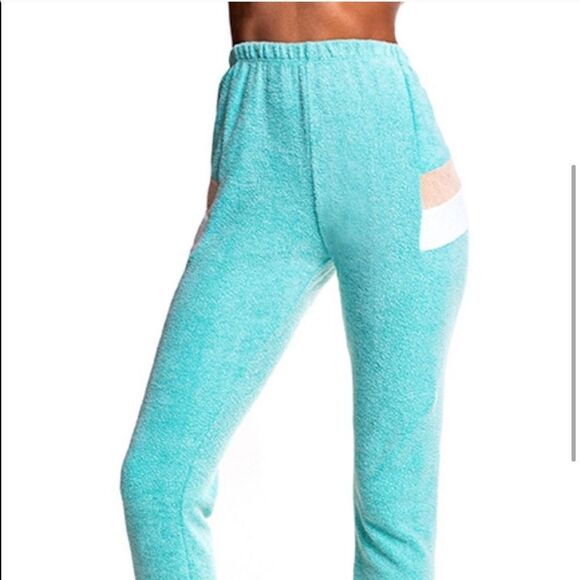 NWT Wildfox Knox Fuzzy Sweatpants in Trance Teal - Picture 4 of 4